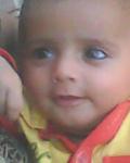 Zafar Gull
